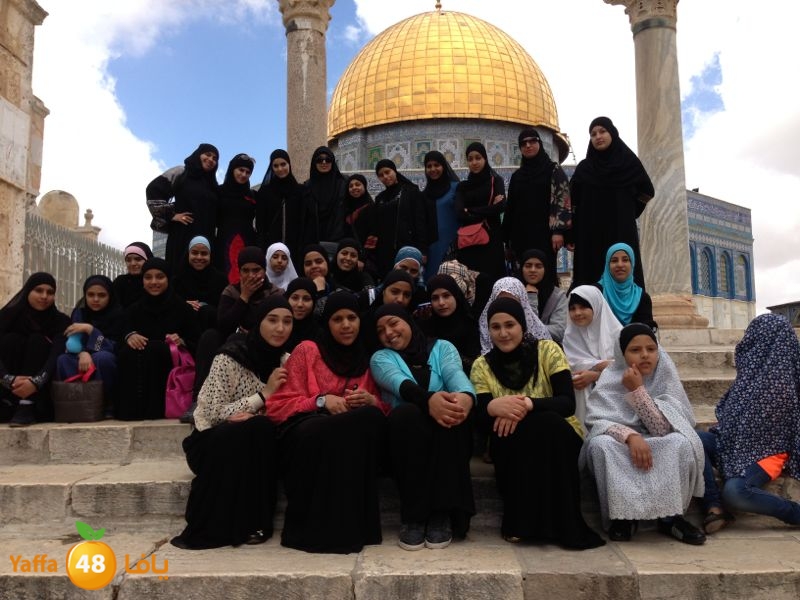 sane3atlud411 (5).jpg